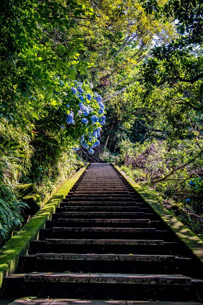 鋸山の画像 - 3枚目