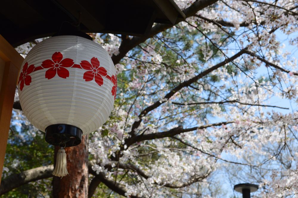櫻木神社の画像 - 2枚目