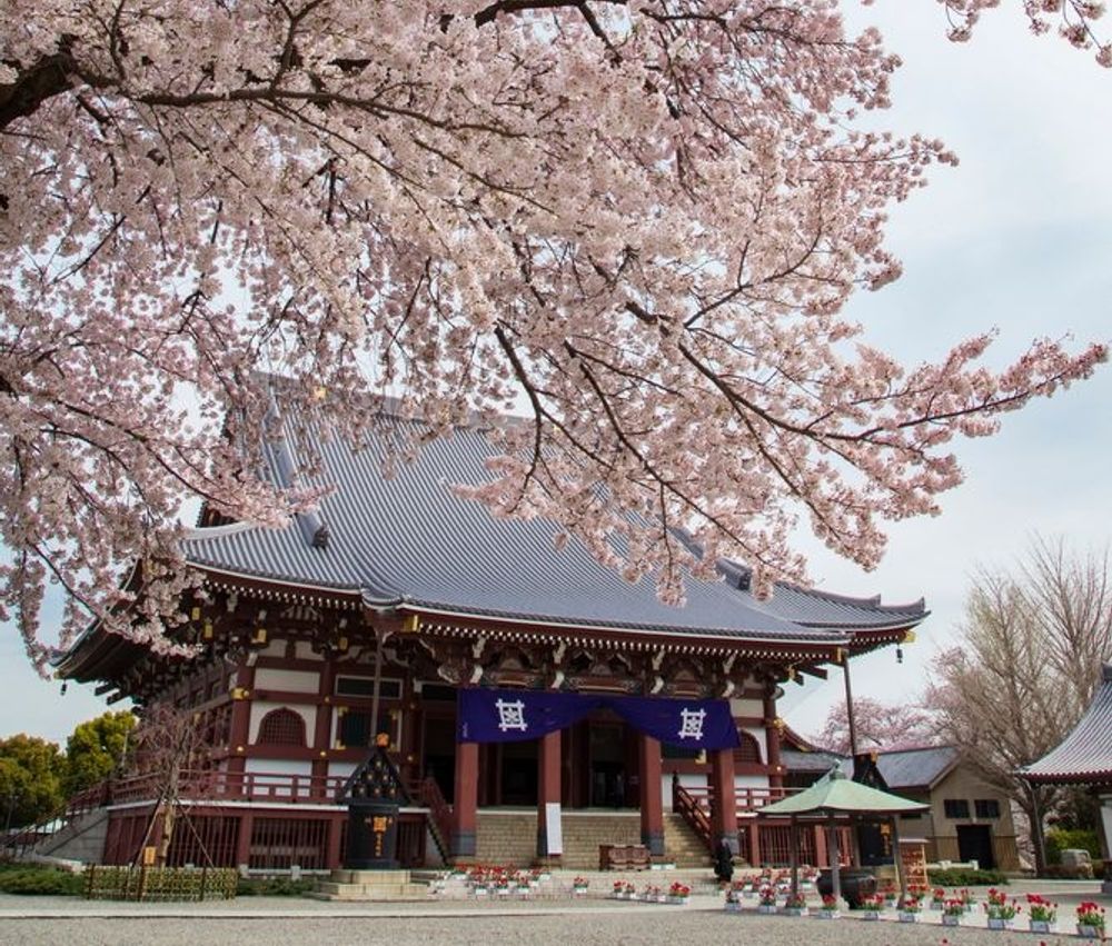 池上本門寺の画像 - 2枚目