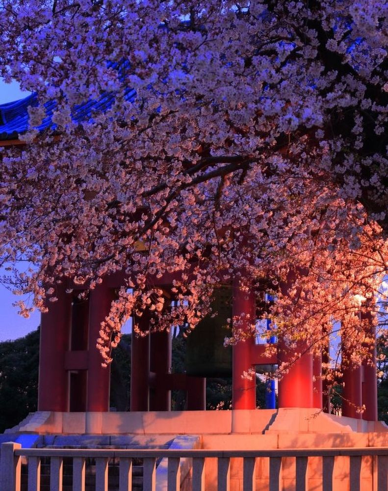 池上本門寺の画像 - 3枚目
