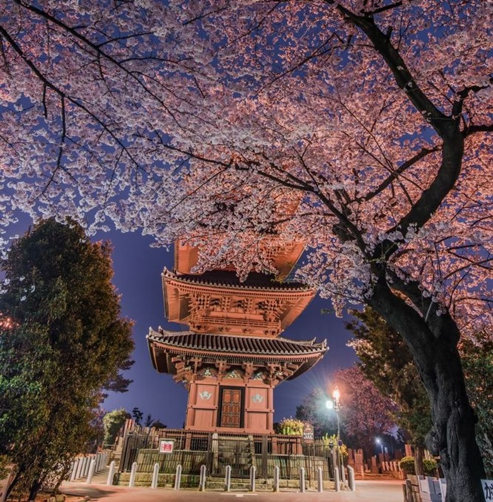 池上本門寺】の周辺スポット・アクセス・口コミ - Prism Japan