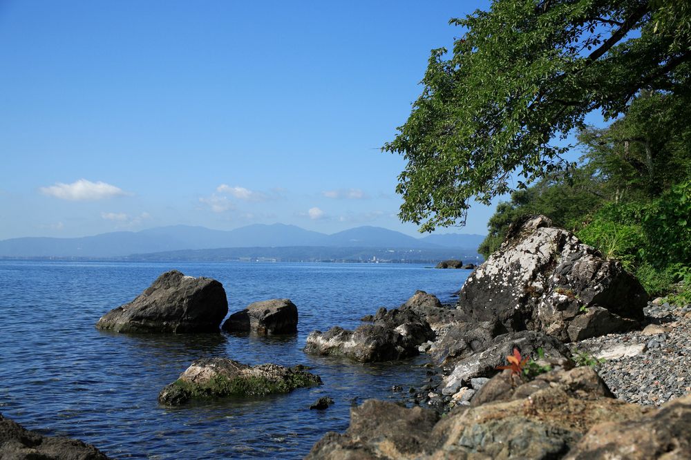 海津大崎の画像 - 2枚目