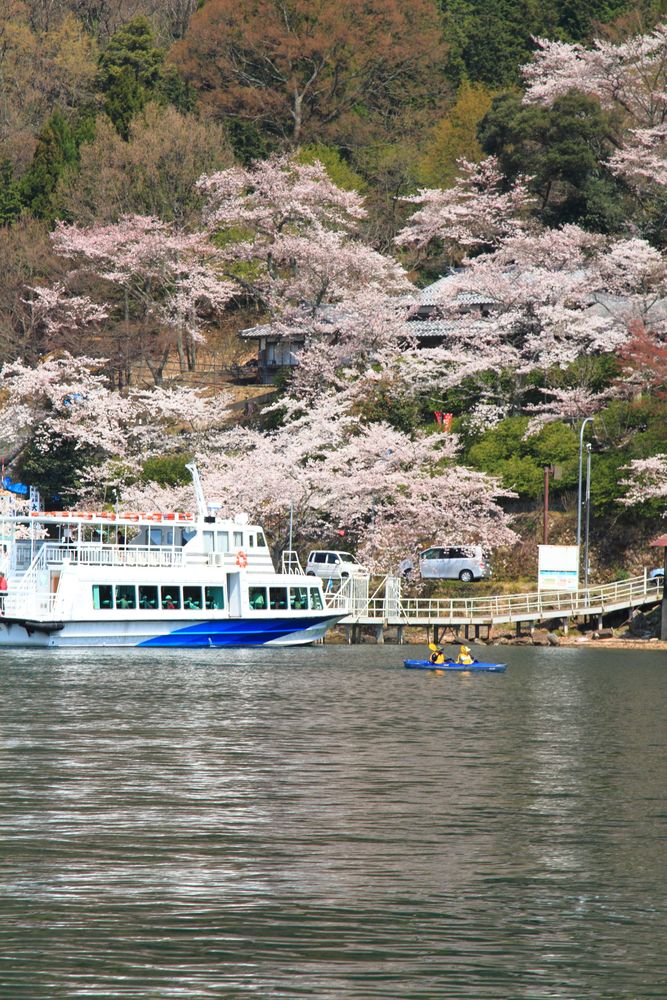 海津大崎の画像 - 3枚目