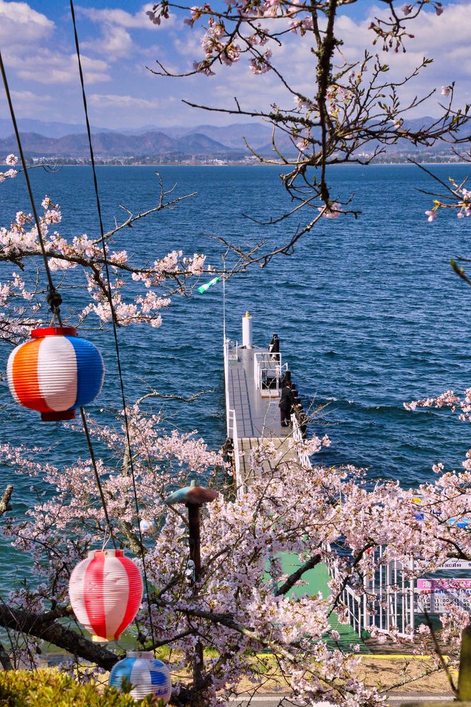 海津大崎の画像 - 7枚目