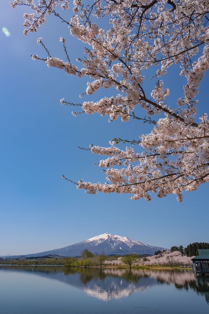 鶴の舞橋の画像 - 5枚目