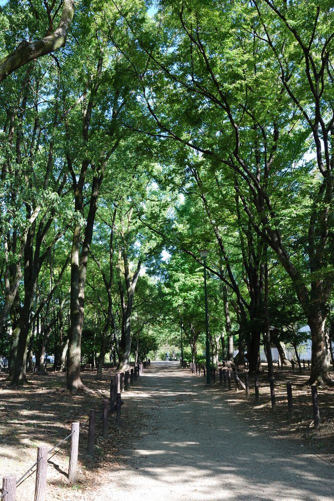 鶴舞公園の画像 - 4枚目