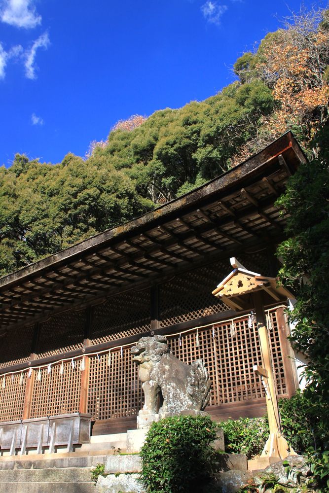 宇治上神社の画像 - 2枚目
