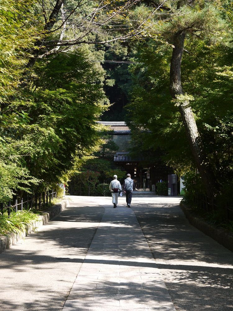宇治上神社の画像 - 3枚目