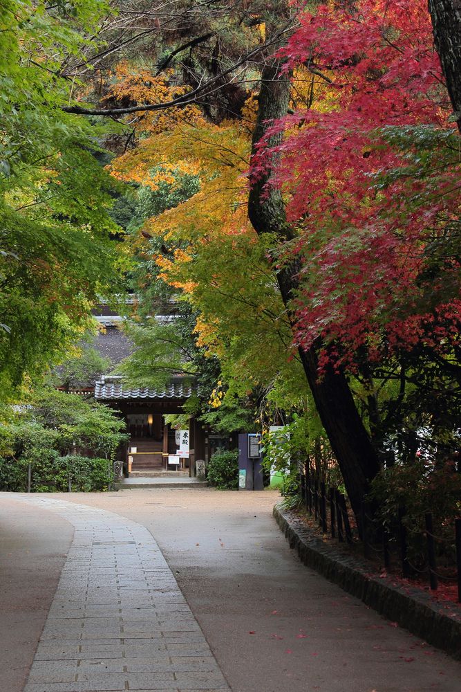 宇治上神社の画像 - 4枚目