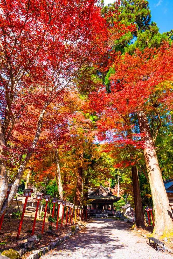 日吉大社】の周辺スポット・アクセス・口コミ - Prism Japan