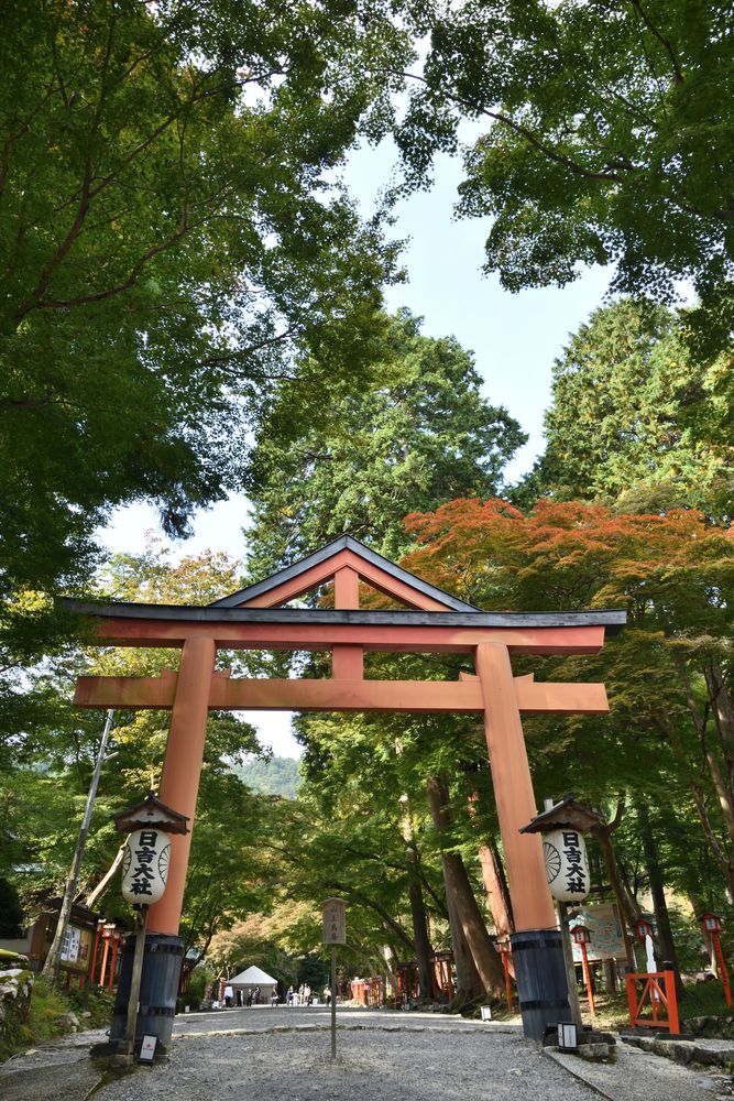 日吉大社】のご利益・お守り・アクセス - Prism Japan