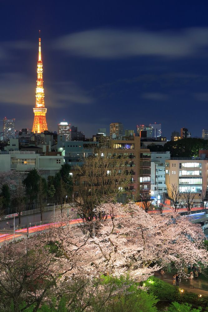 毛利庭園の画像 - 2枚目