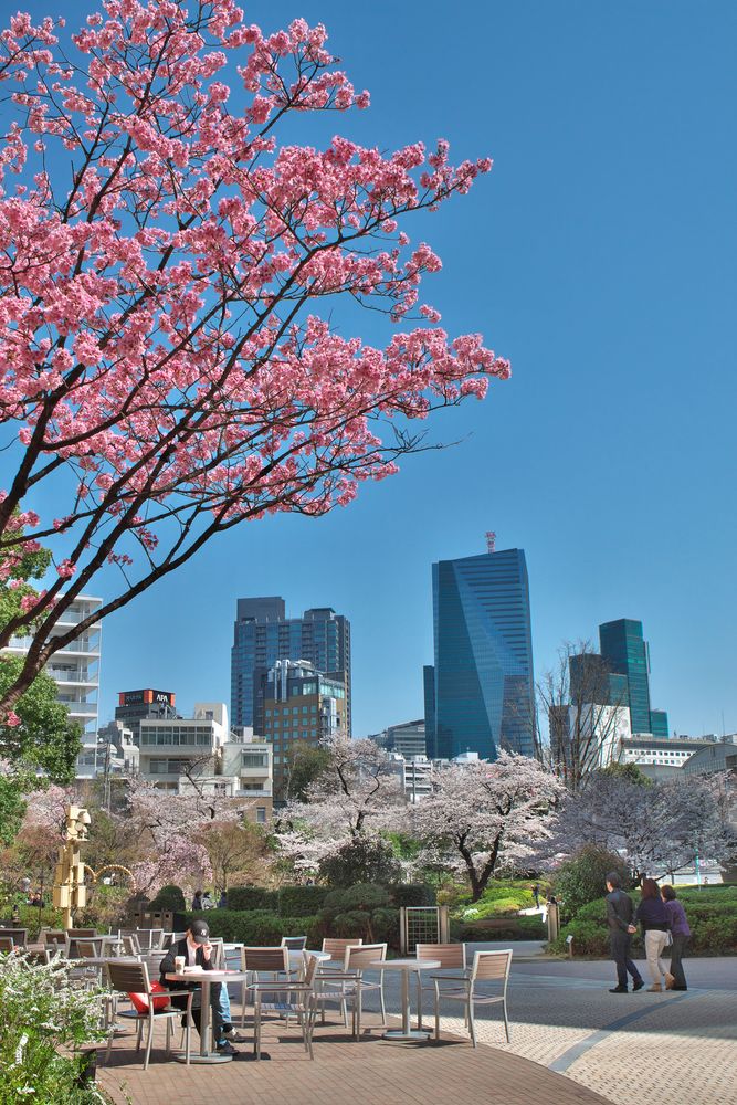 毛利庭園の画像 - 3枚目