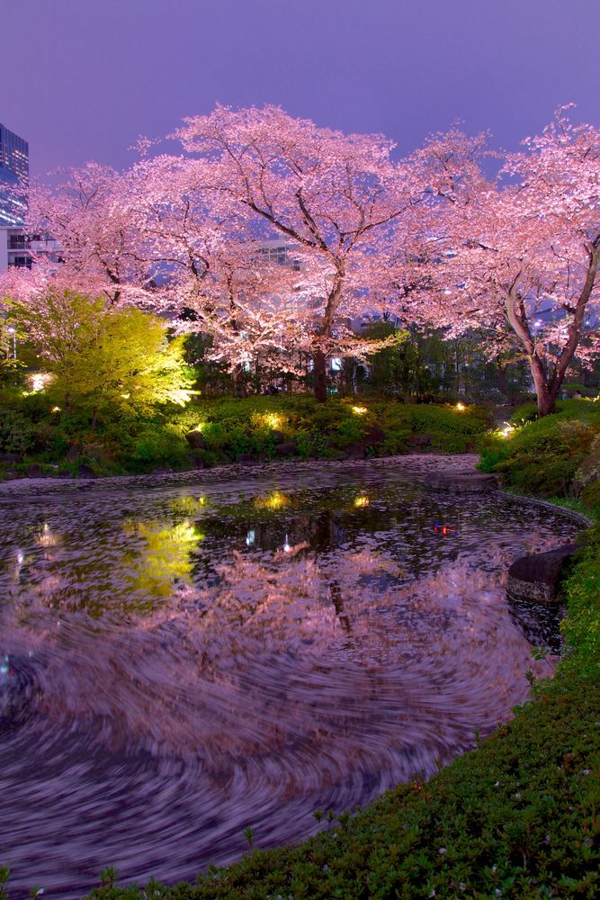 毛利庭園】の周辺スポット・アクセス・口コミ - Prism Japan