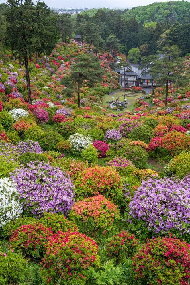 塩船観音寺の画像 - 2枚目