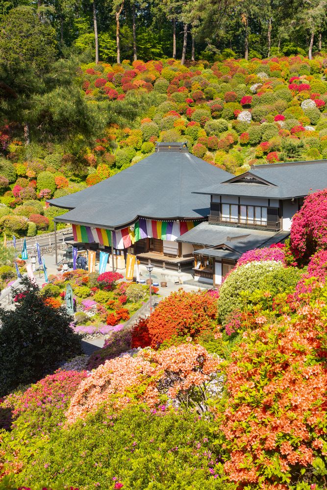 塩船観音寺の画像 - 3枚目