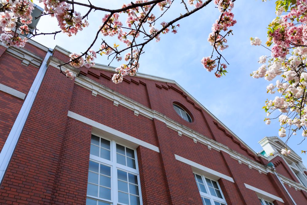 造幣局桜の通り抜け】の周辺スポット・アクセス・口コミ - Prism