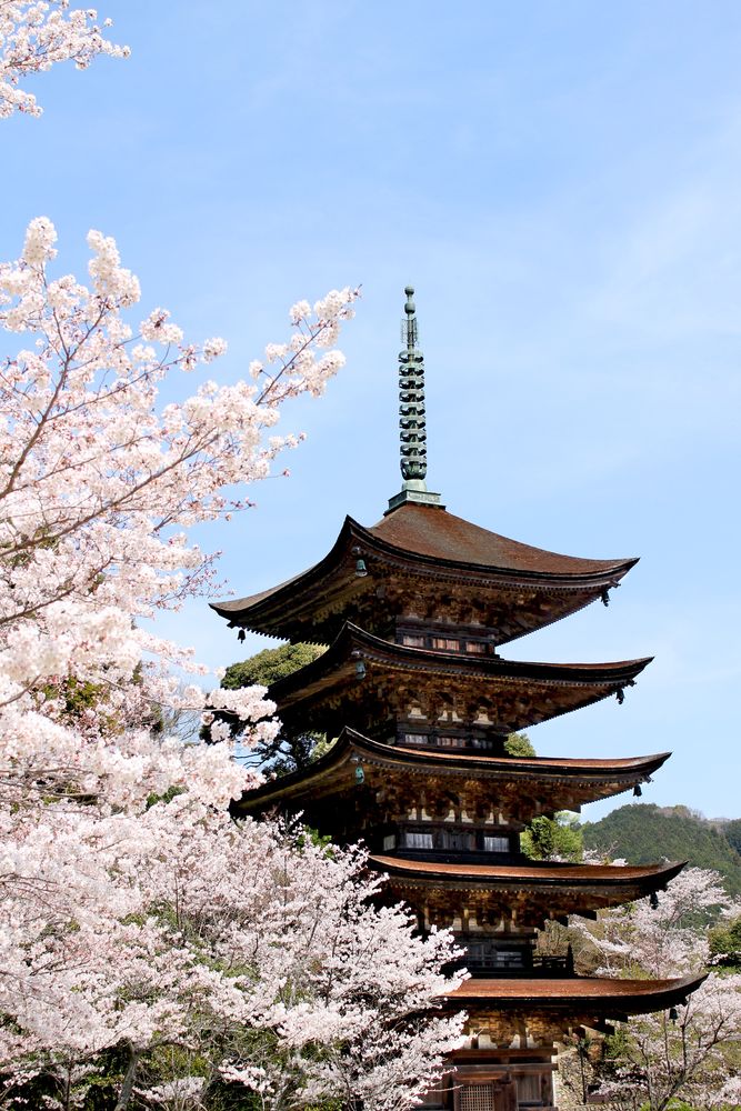 瑠璃光寺の画像 - 4枚目