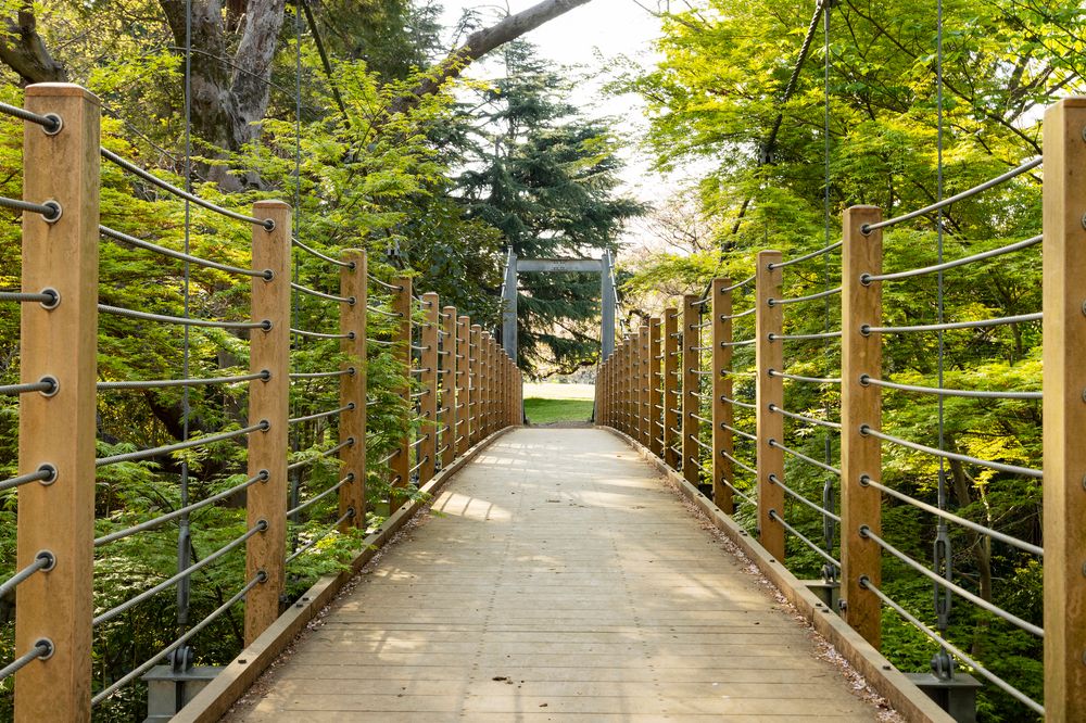 砧公園の画像 - 2枚目