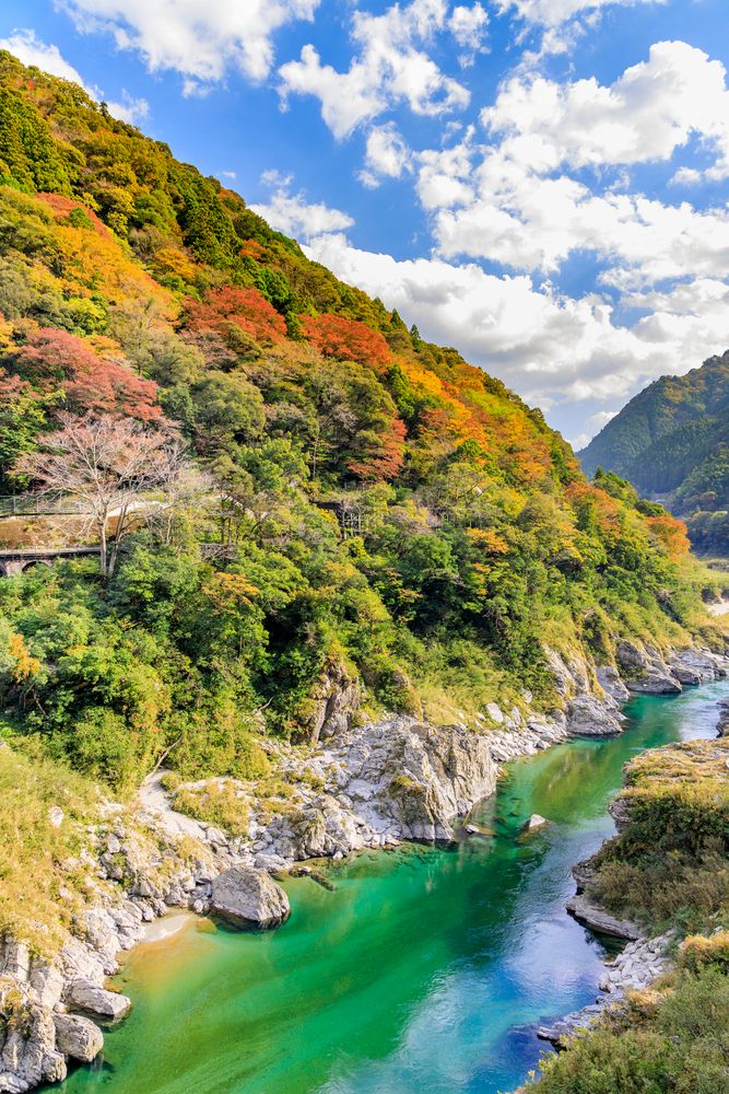 大歩危・小歩危の画像 - 3枚目