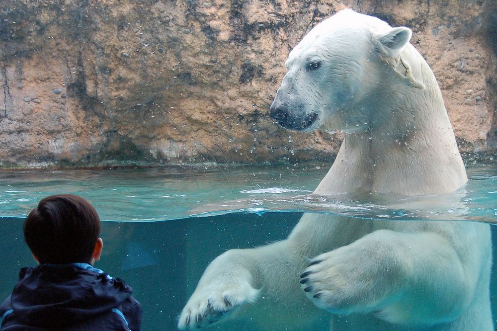 豊橋総合動植物園・のんほいパークの画像 - 2枚目