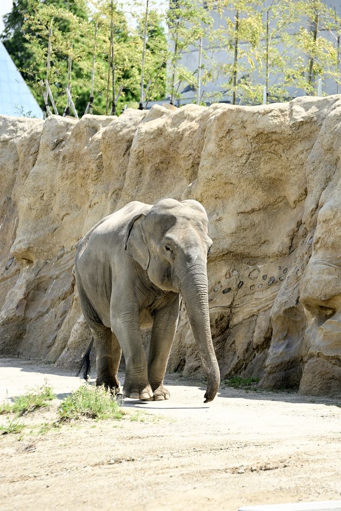 豊橋総合動植物園・のんほいパークの画像 - 4枚目
