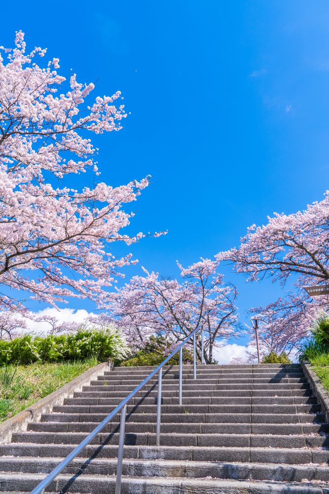 美の山公園の画像 - 3枚目