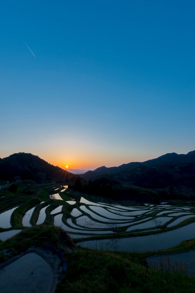 大山千枚田の画像 - 2枚目