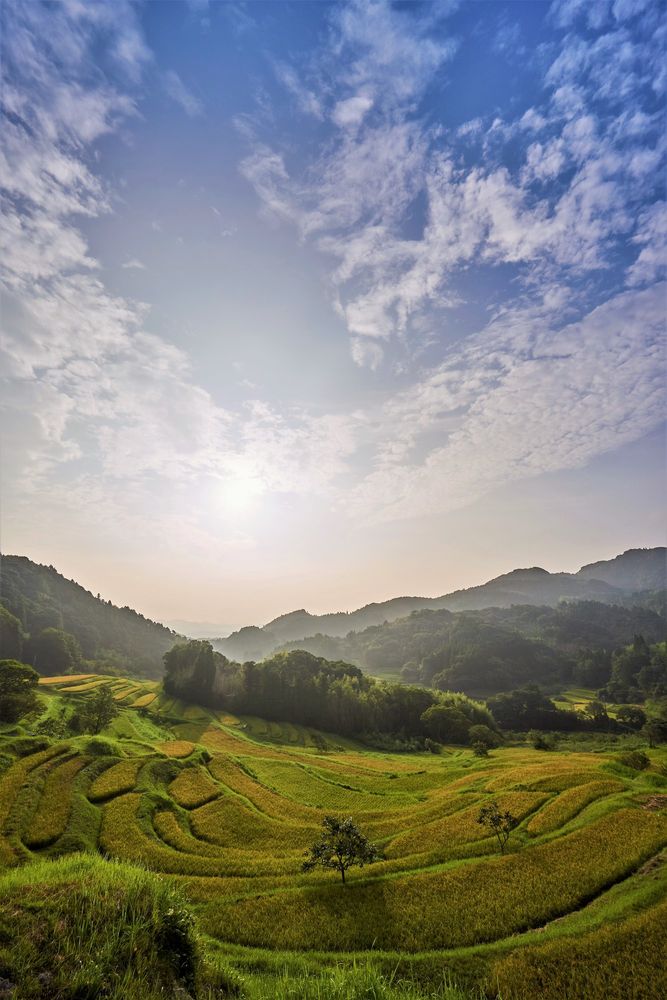 大山千枚田の画像 - 4枚目