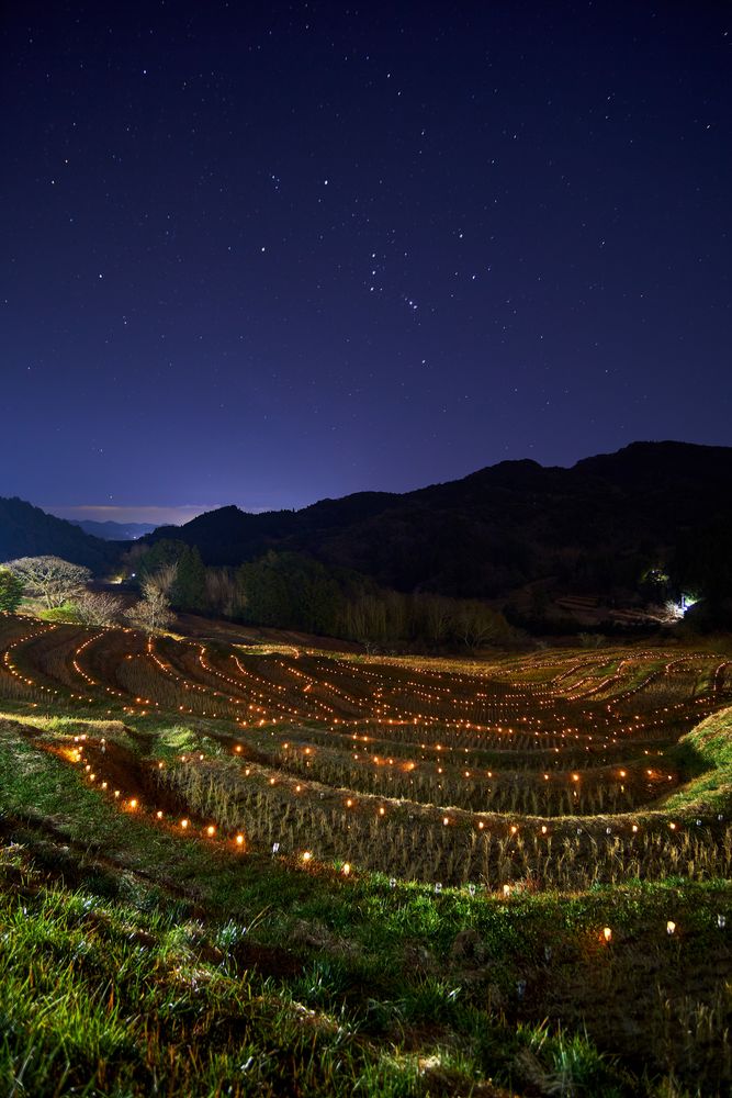 大山千枚田の画像 - 5枚目