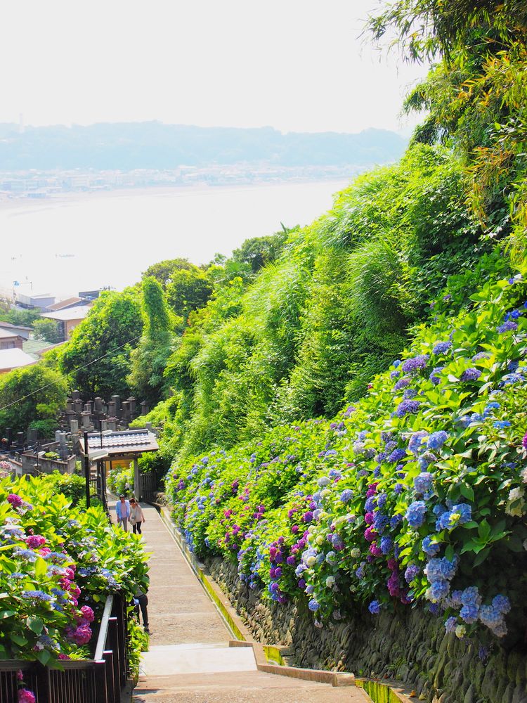 成就院の画像 - 2枚目