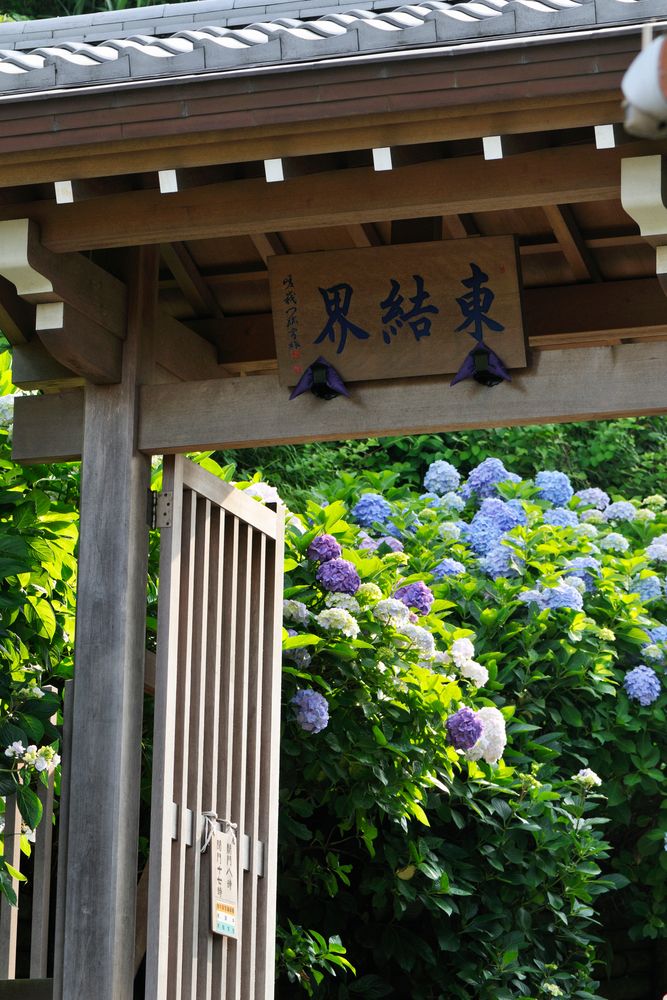 成就院の画像 - 5枚目
