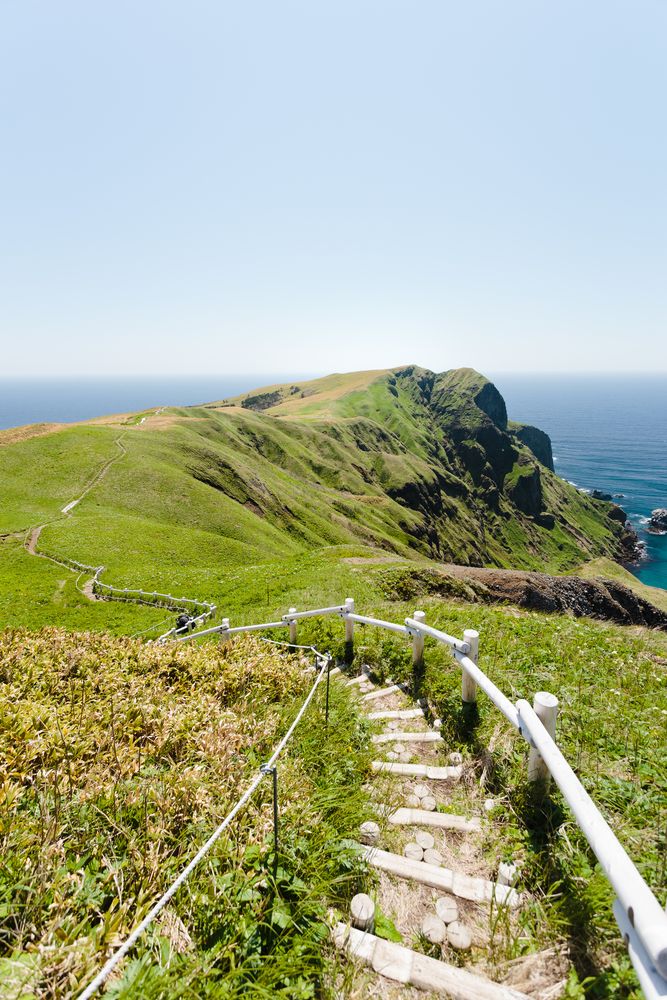 礼文島の画像 - 2枚目