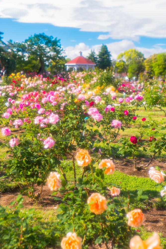 敷島 ✨ 忍者屋敷 エディオンなんば本店 謎解きトリックハウス🥷 謎解き