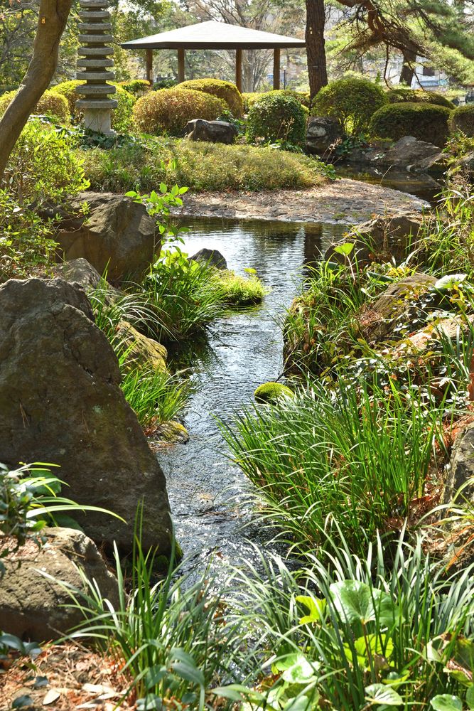 大宮公園の画像 - 4枚目
