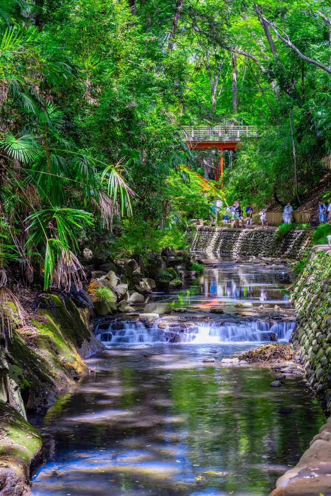 等々力渓谷公園の画像 - 2枚目