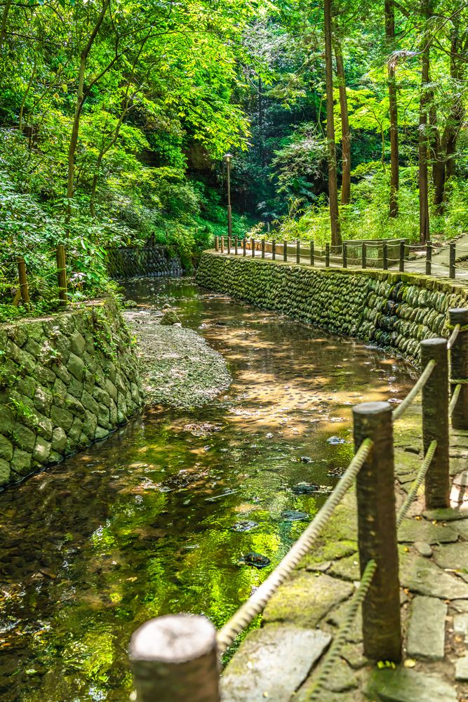 等々力渓谷公園の画像 - 4枚目