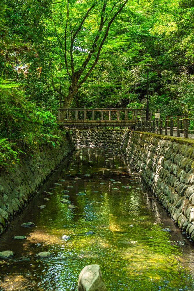 等々力渓谷公園の画像 - 5枚目