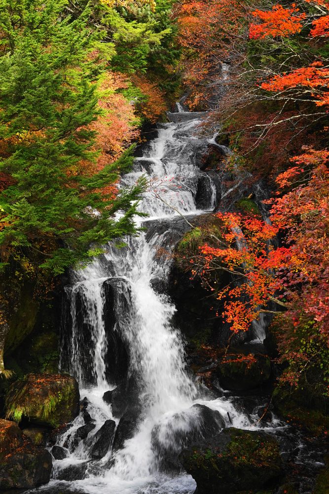 竜頭ノ滝の画像 - 4枚目