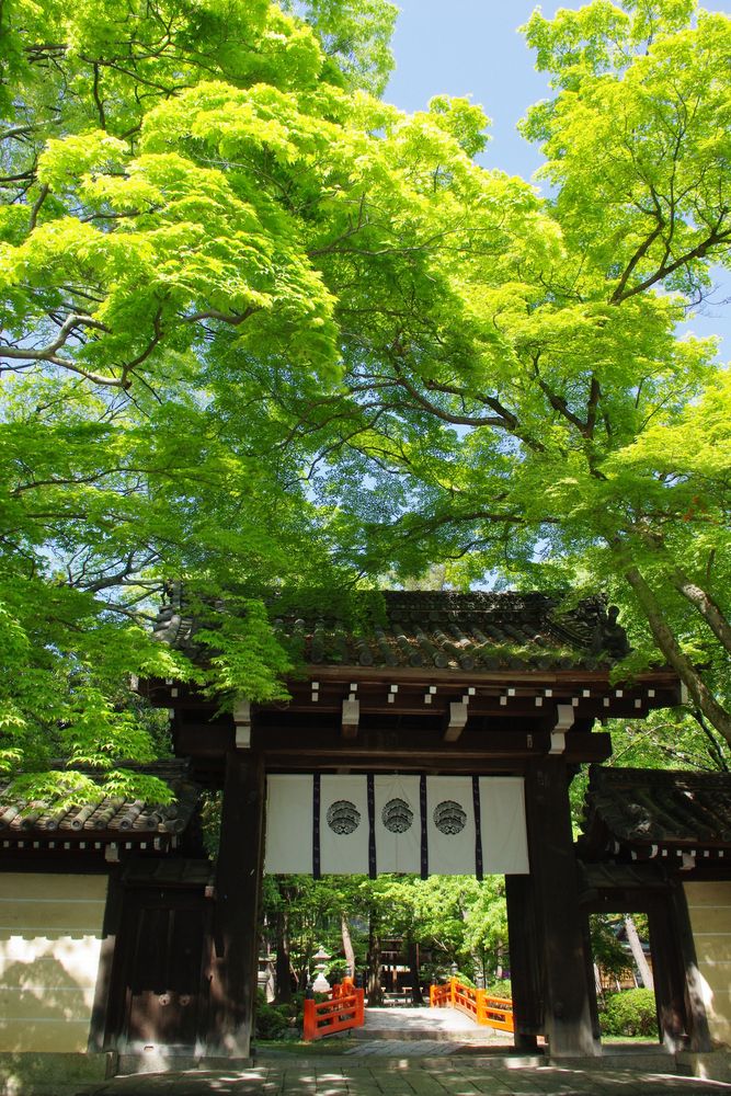 今宮神社の画像 - 2枚目