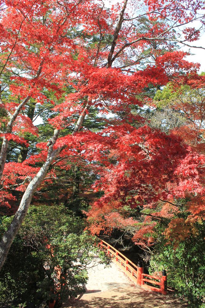 紅葉谷公園の画像 - 2枚目