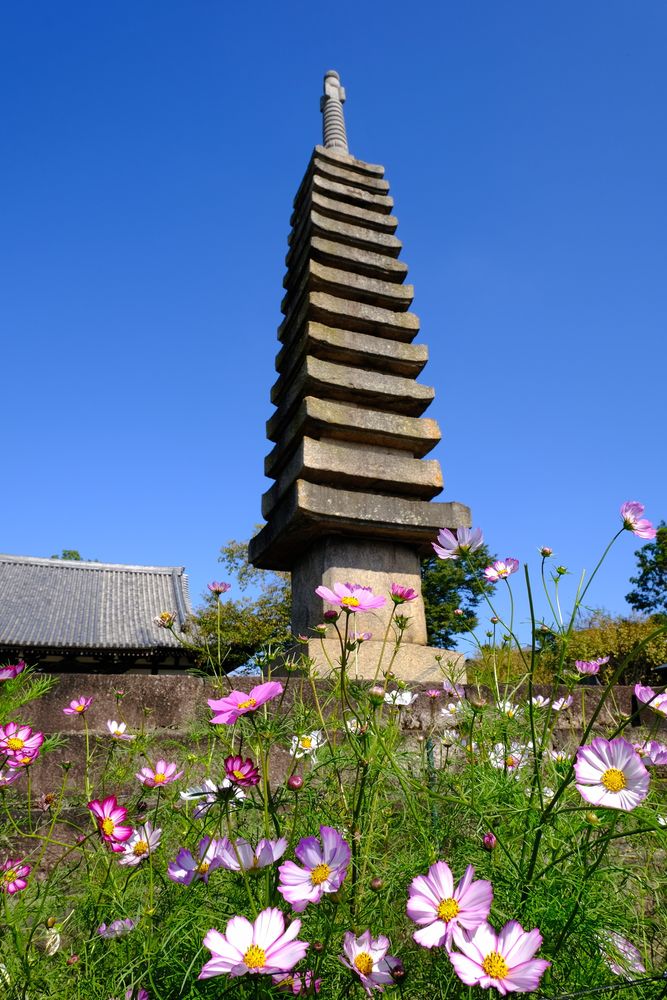 法性山 般若寺の画像 - 6枚目