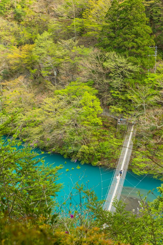 夢の吊り橋の画像 - 3枚目