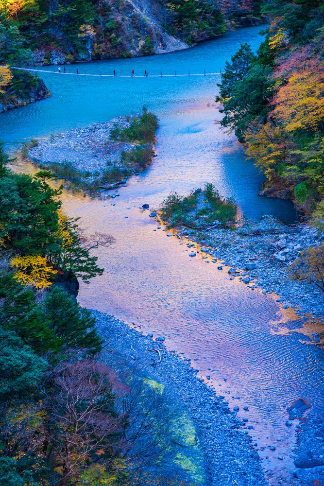 夢の吊り橋の画像 - 5枚目