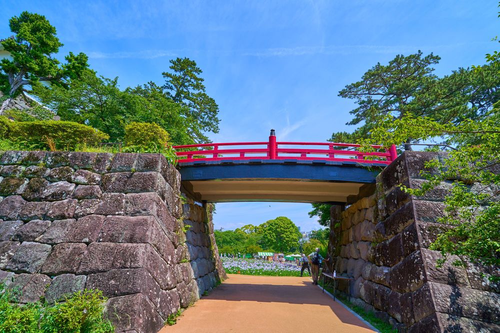 小田原城址公園の画像 - 6枚目
