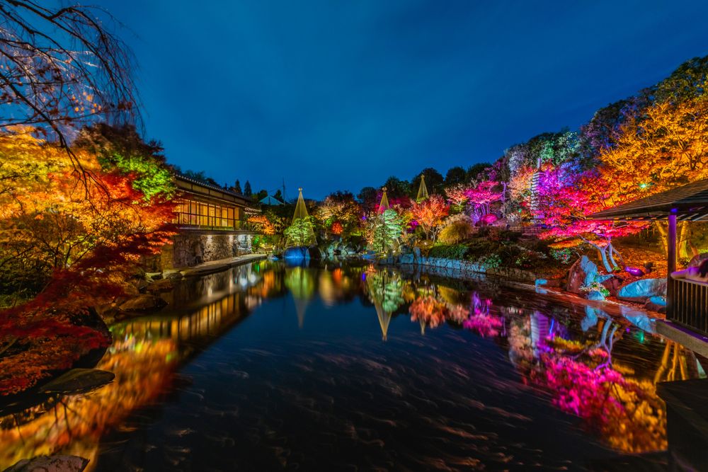 目白庭園の画像 - 2枚目