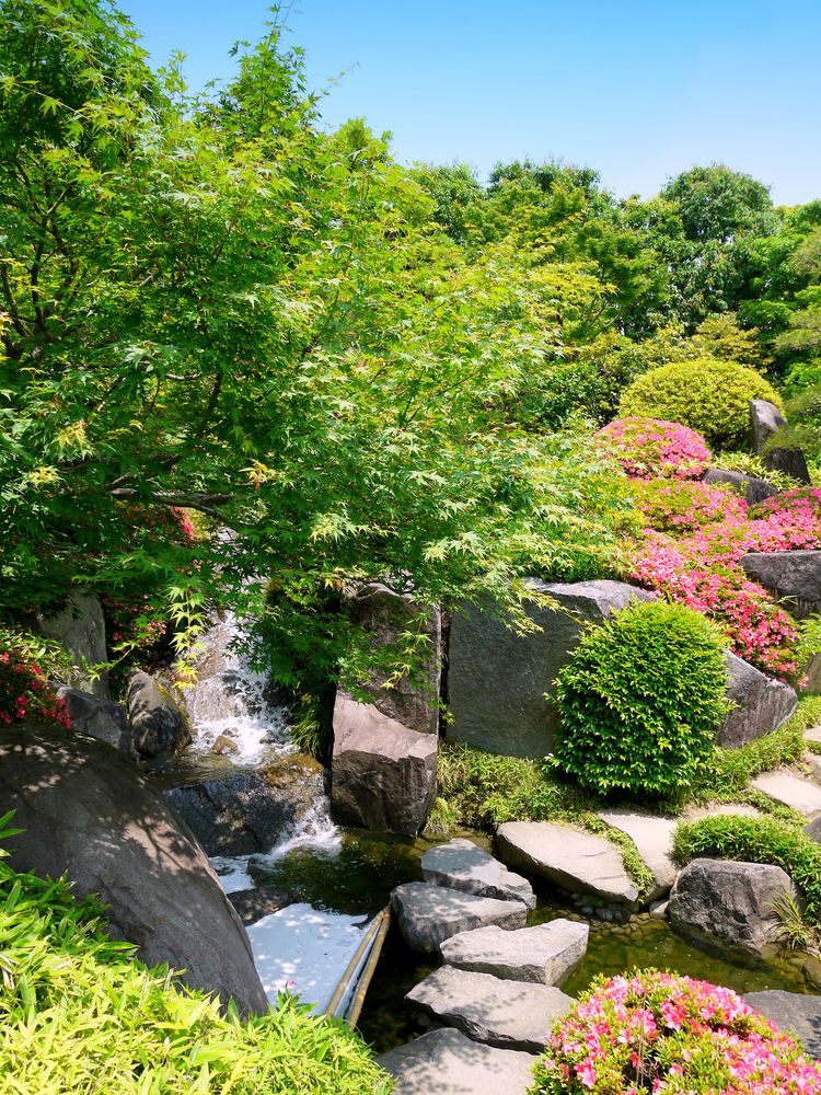 目白庭園の画像 - 4枚目