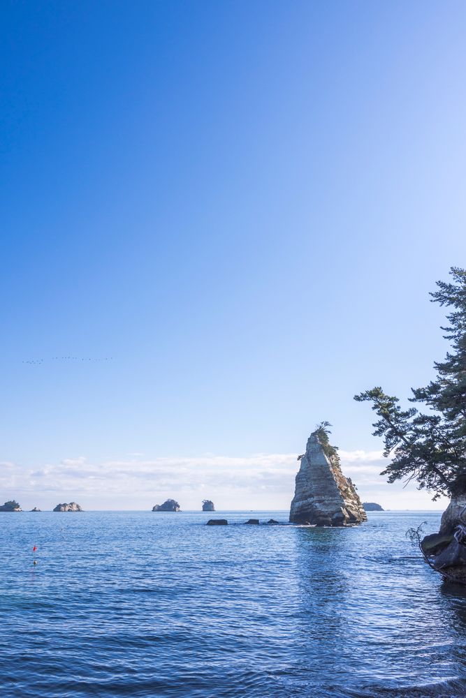 松島の画像 - 3枚目