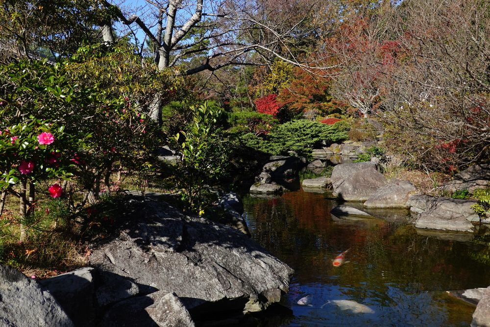 葉山しおさい公園の画像 - 3枚目