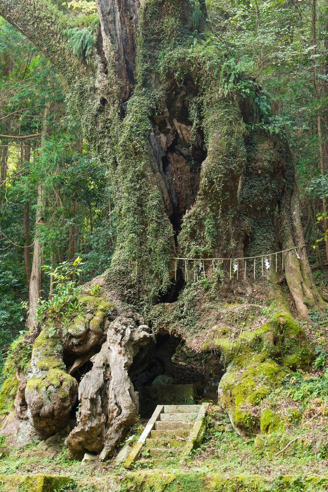 武雄神社の画像 - 3枚目